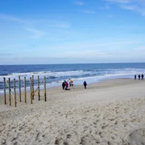Sylt Reinigung (2)