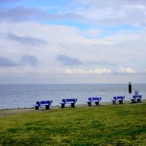 Sylt Reinigung (3)