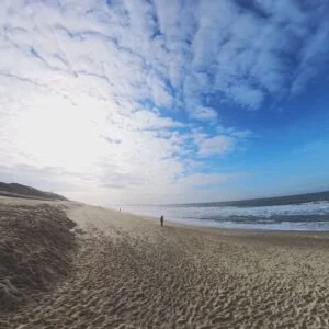 Sylt Reinigung (3)