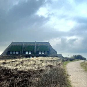 Sylt Reinigung (3)