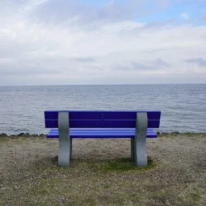 Sylt Reinigung (3)